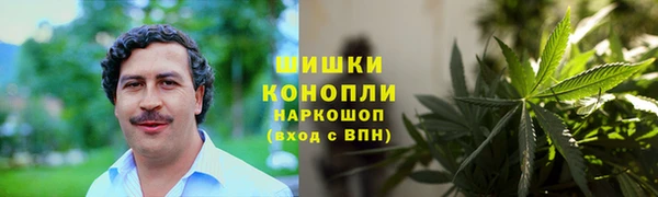 метадон Богданович